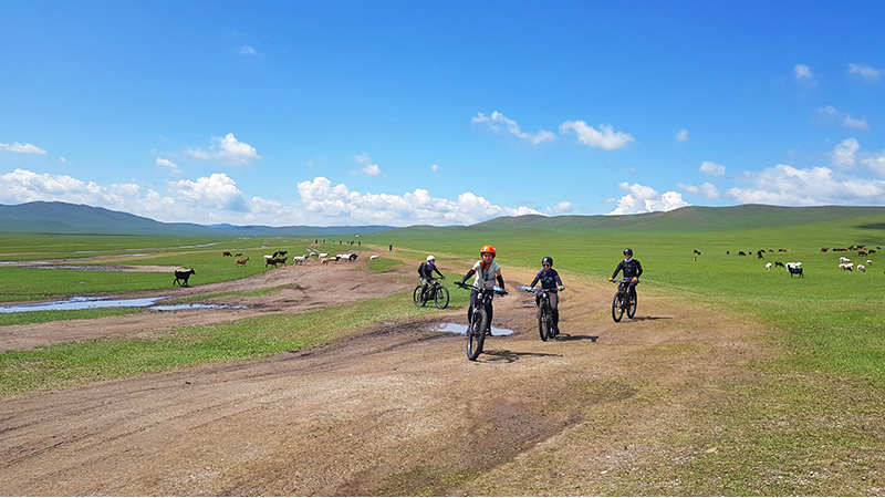 Mountain biking tour in Mongolia